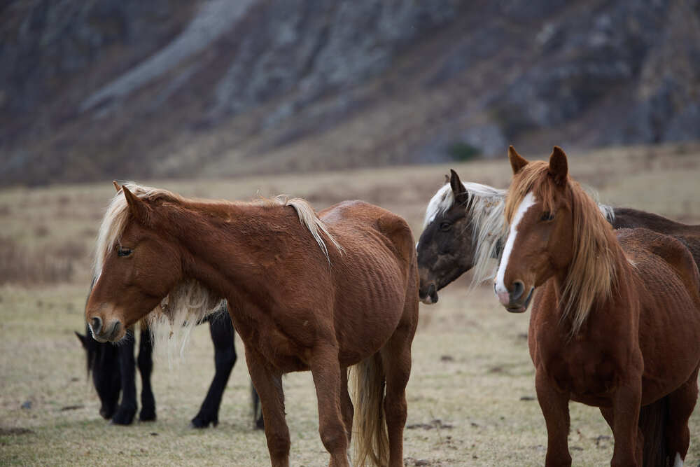 Photograph by Михаил Рогачев
