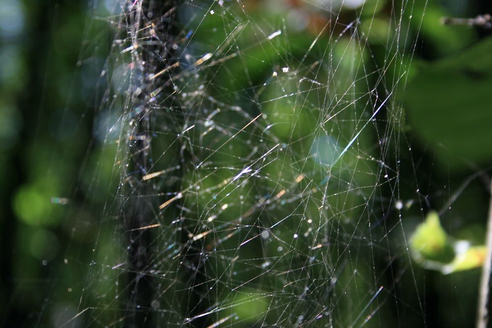 Photograph by Элеонора Бульс