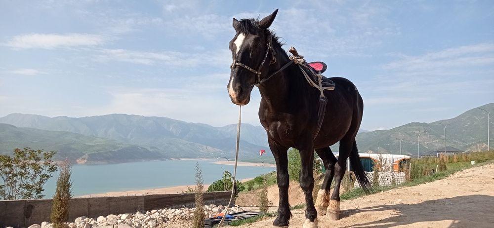 Photograph by Лариса Неудачина