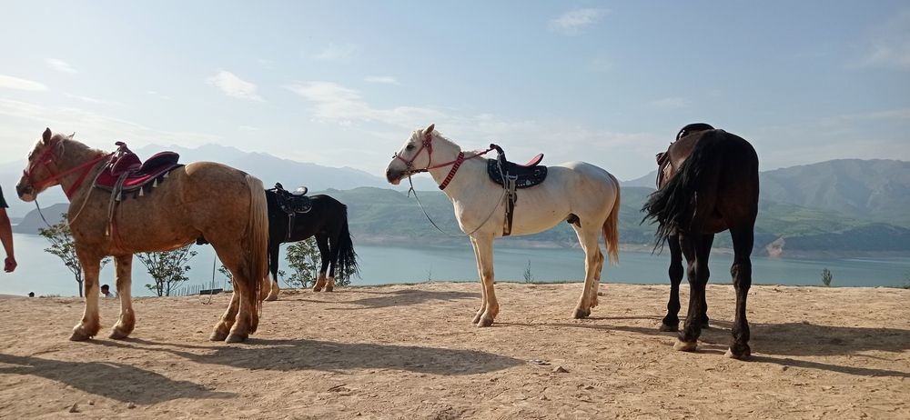 Photograph by Лариса Неудачина