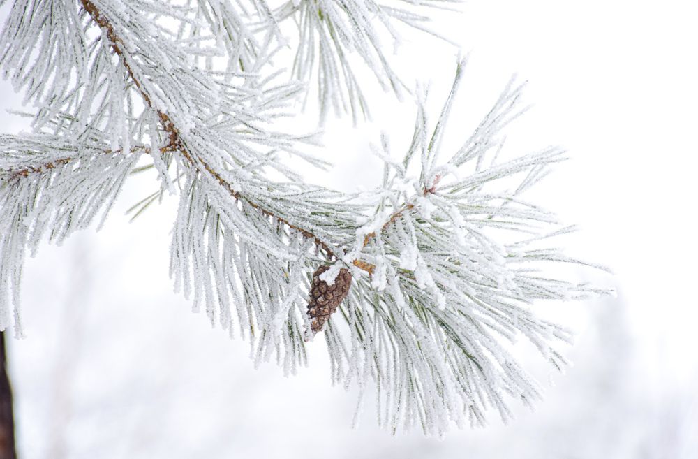 Photograph by Андрей Куракин