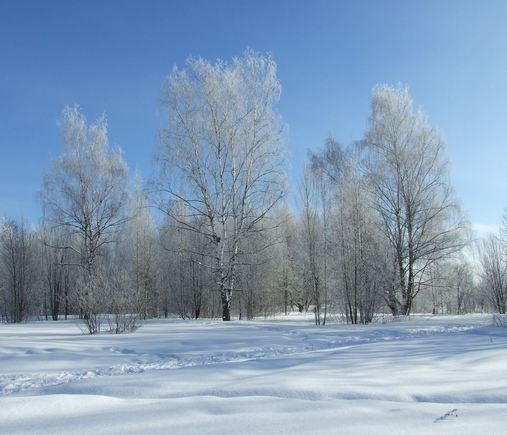 Photo #13003088