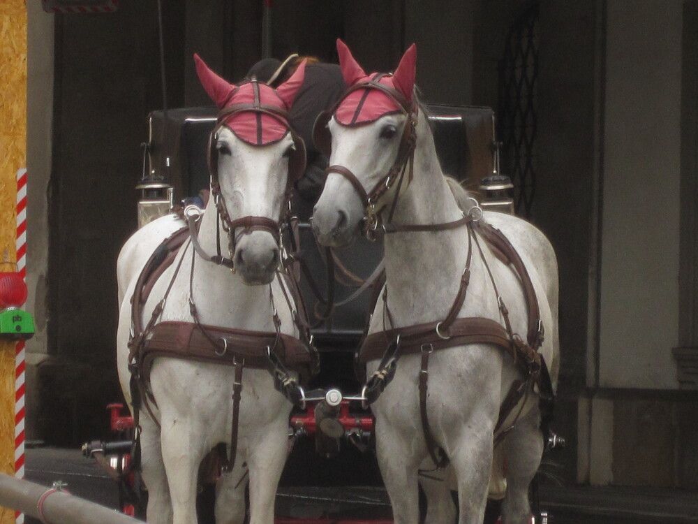 Photograph by Лариса Неудачина