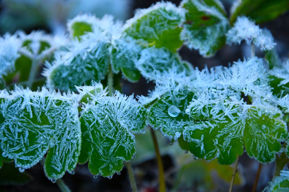 Photograph by Нина Малютина