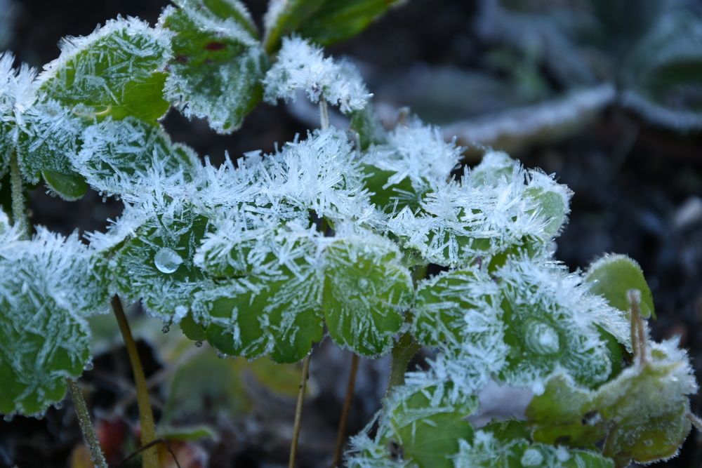 Photograph by Нина Малютина