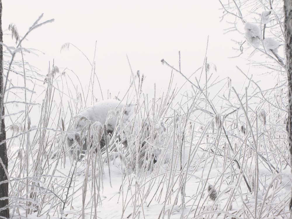 Photograph by Герасимов Игорь