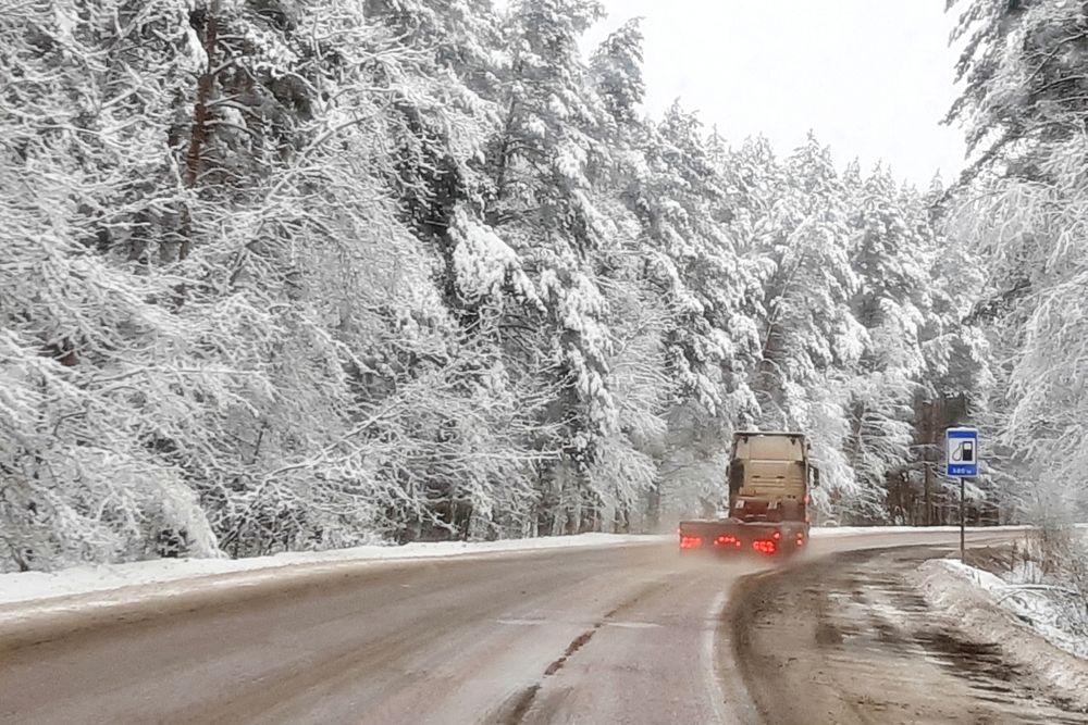 Дорога домой