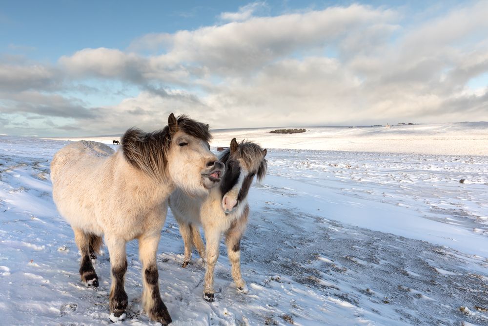 Photograph by Евгения Чех