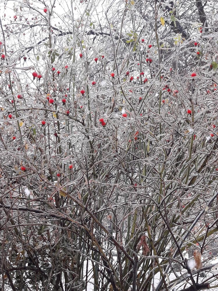 Photograph by Елена Алешкевич