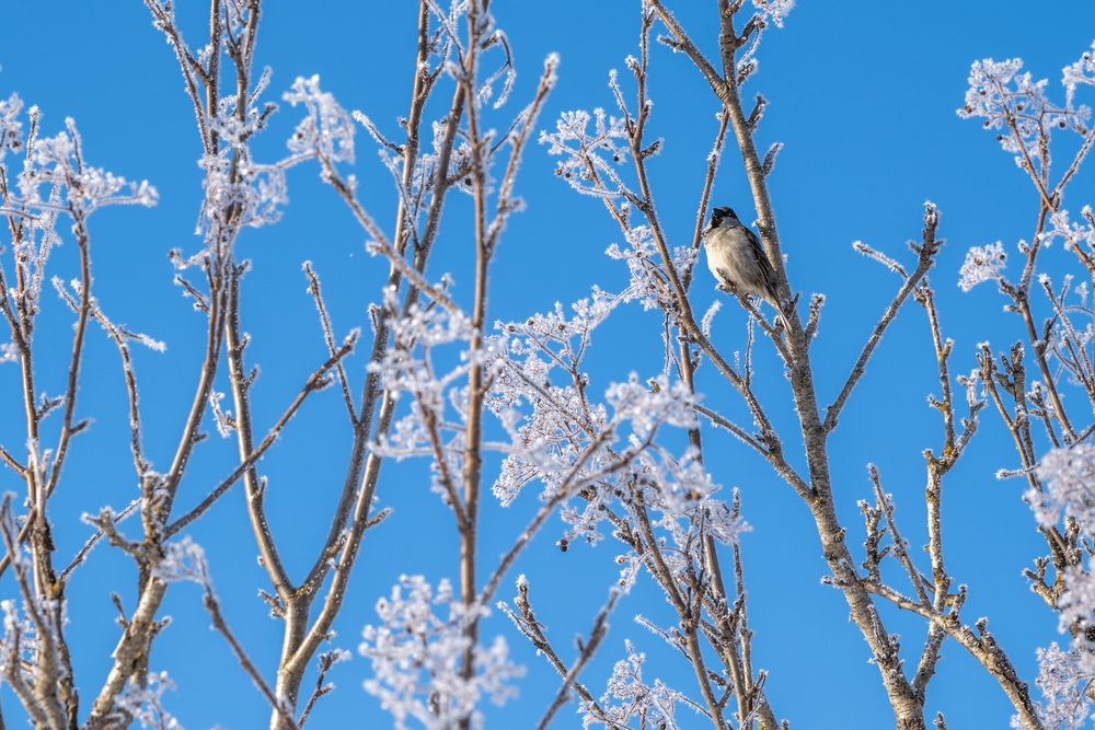 Photograph by ARTEM KORZHUKOV