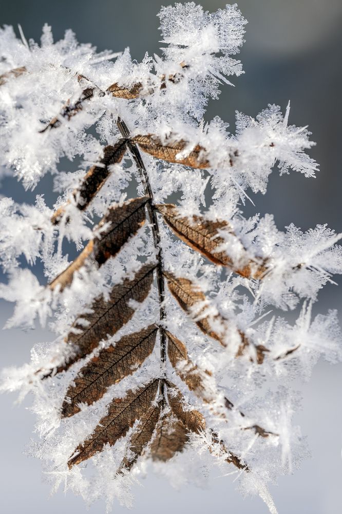 Photograph by ARTEM KORZHUKOV