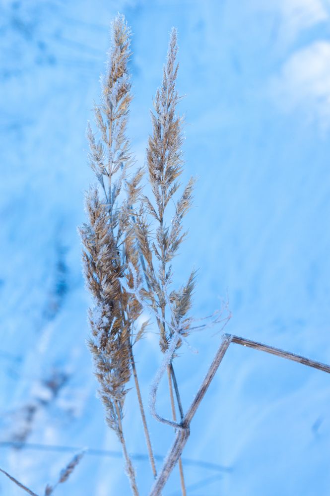 Photograph by Нина Малютина