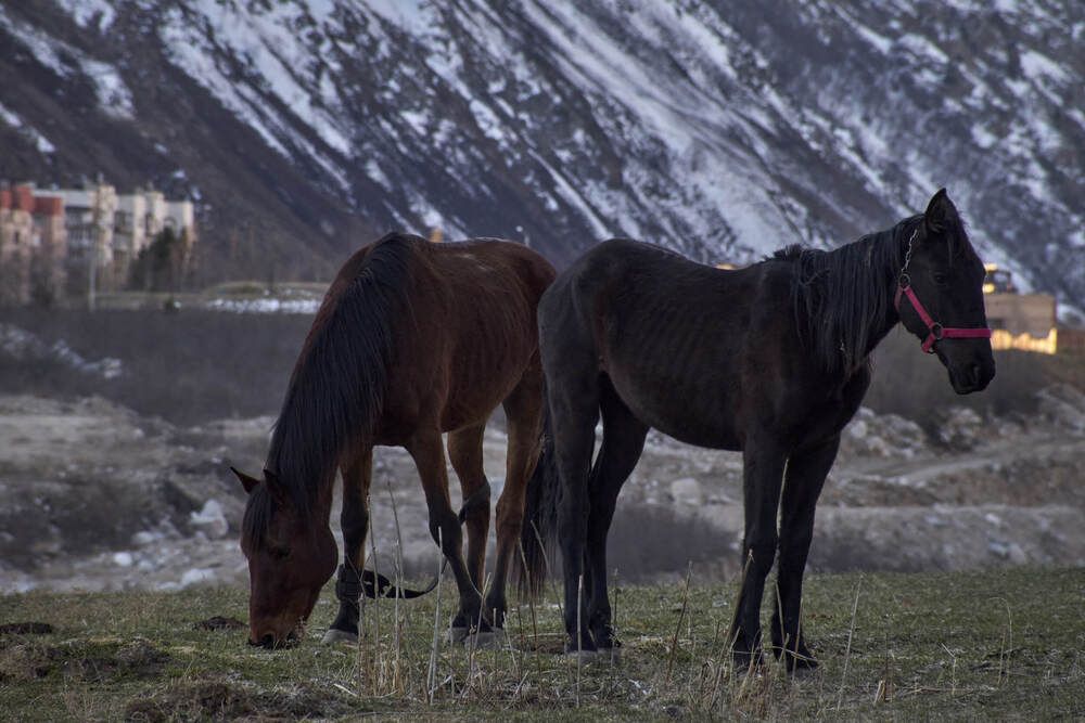 Фотография автора Максим Карпович
