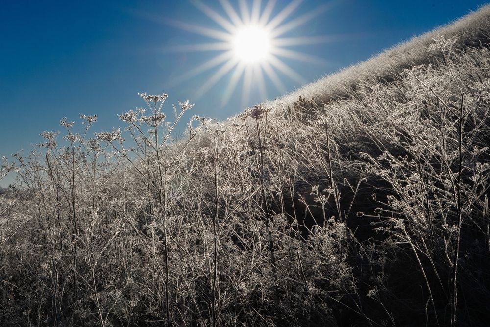 Фотография автора Виктор Громов