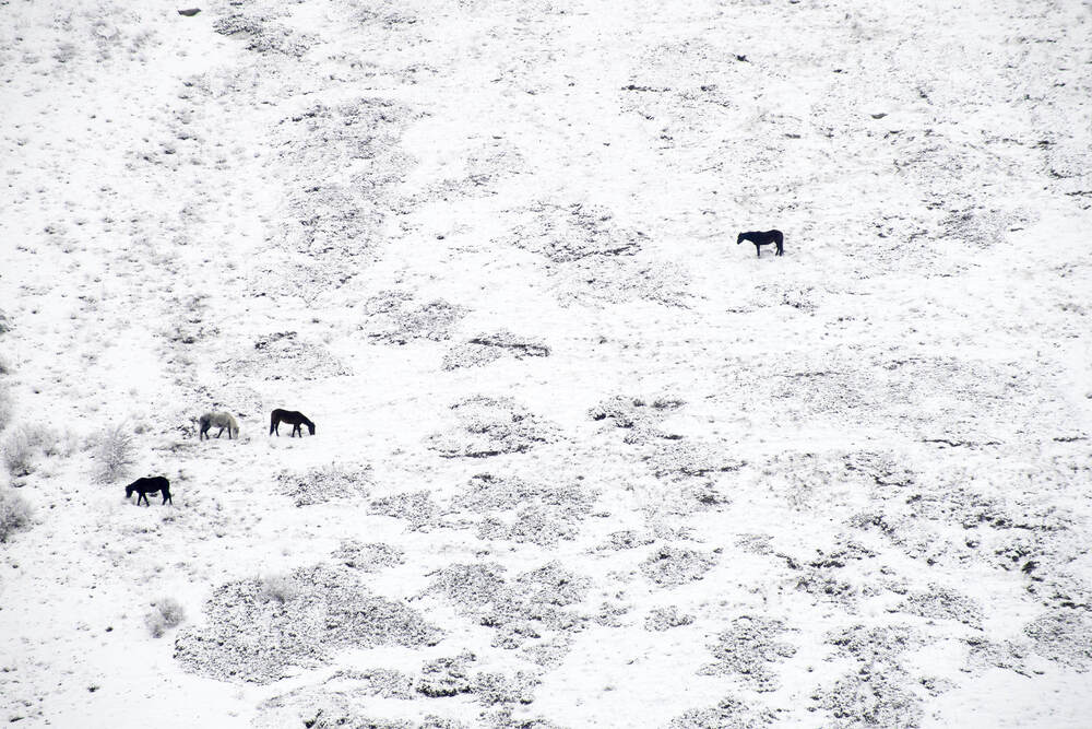 Фотография автора Максим Карпович