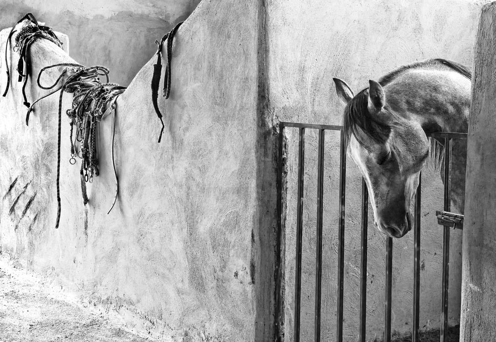 Photograph by farid azadi