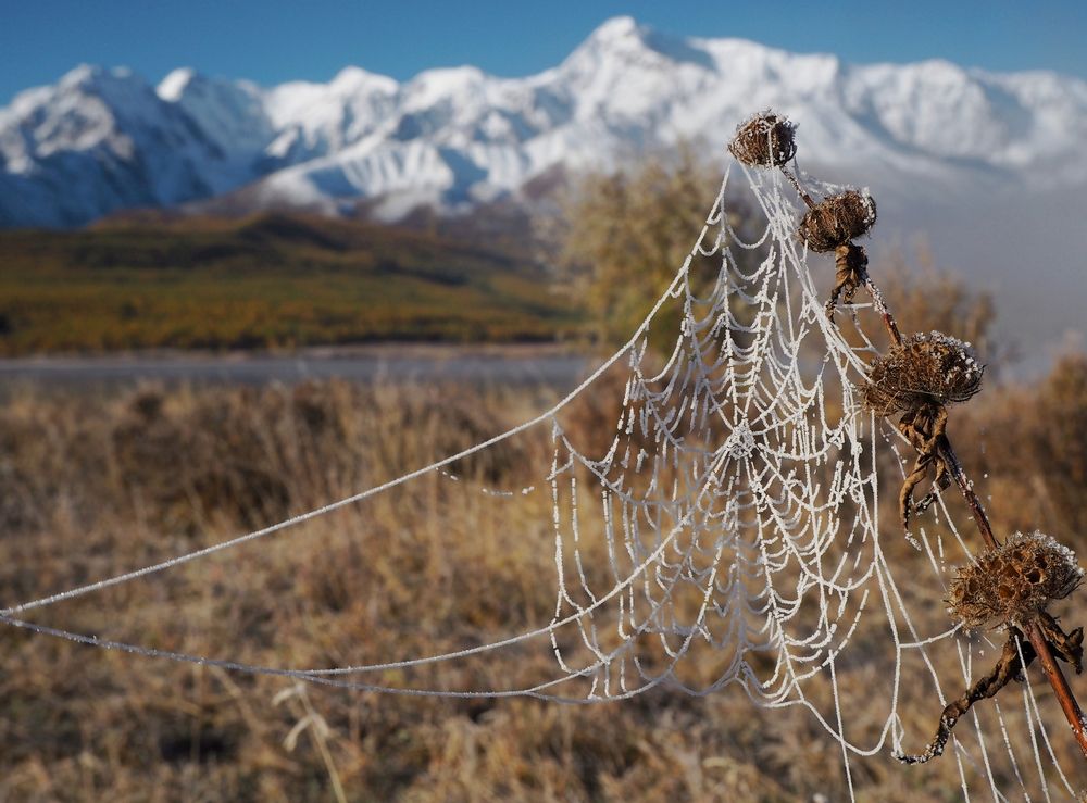 Photograph by Яковлев Евгений