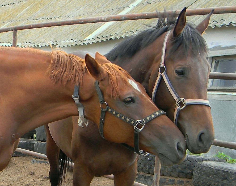 Photograph by Наталия Васильева