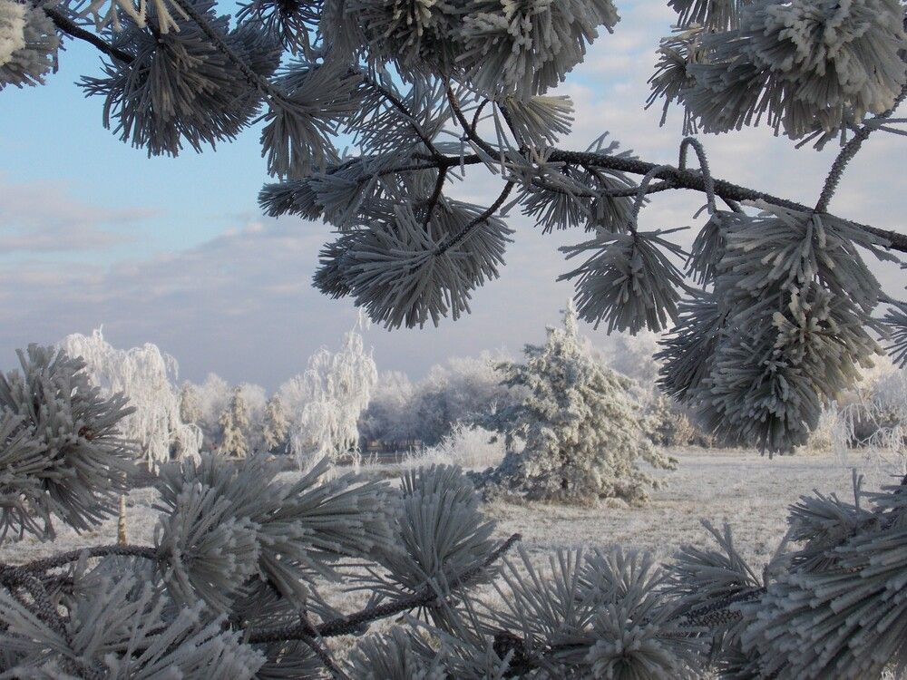 Photograph by Любовь Войводич