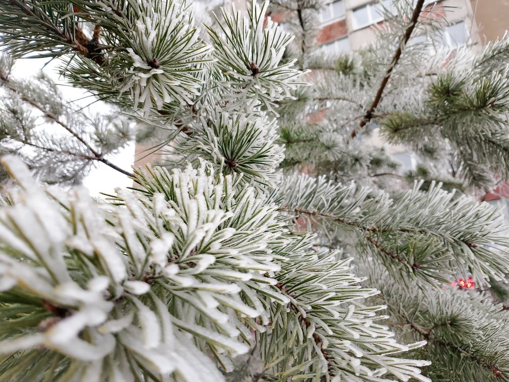 Photograph by Александр Гришин