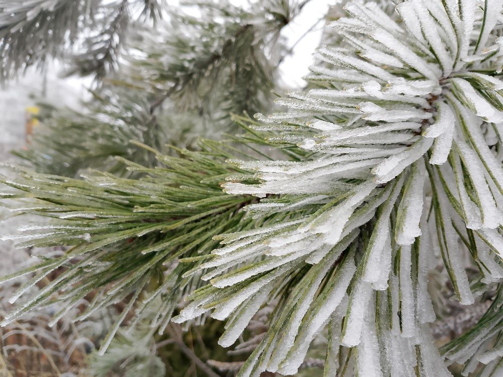 Photograph by Александр Гришин