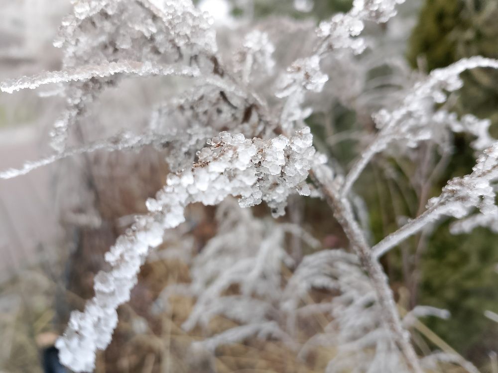 Photograph by Александр Гришин