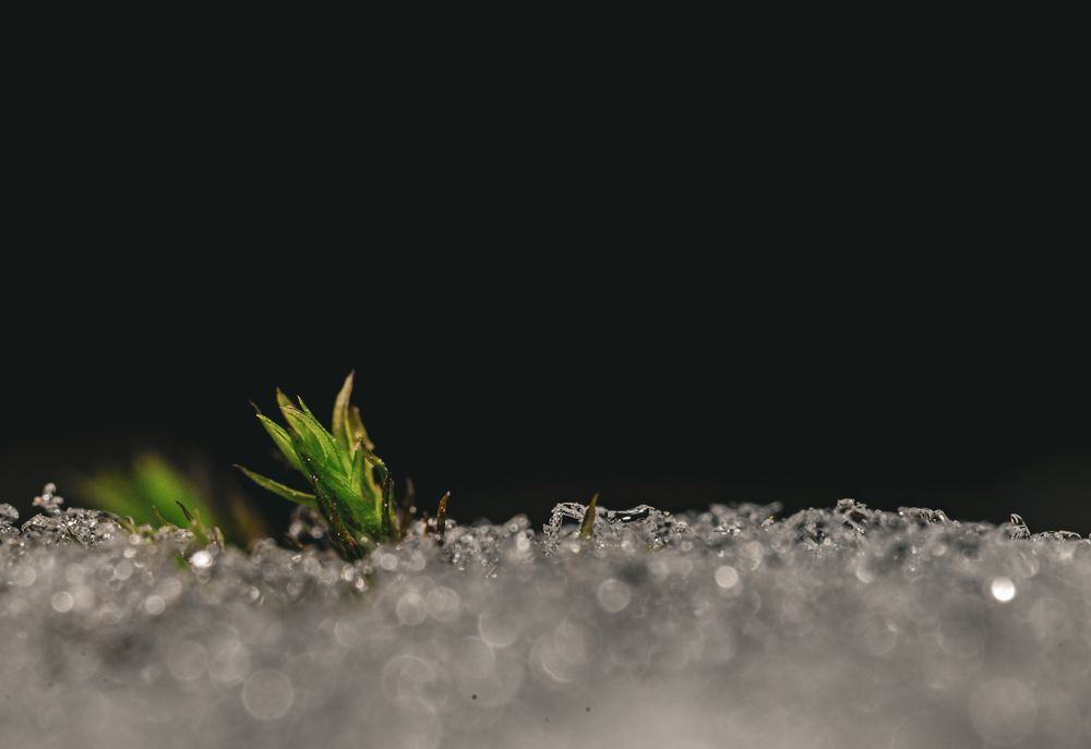 Photograph by Максим Белоус