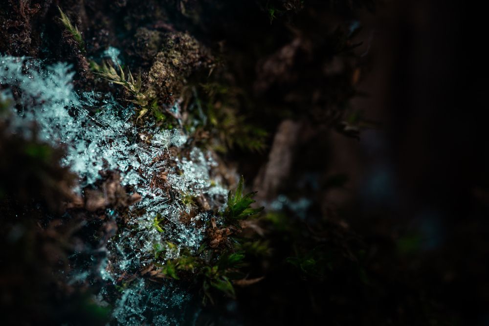 Photograph by Максим Белоус