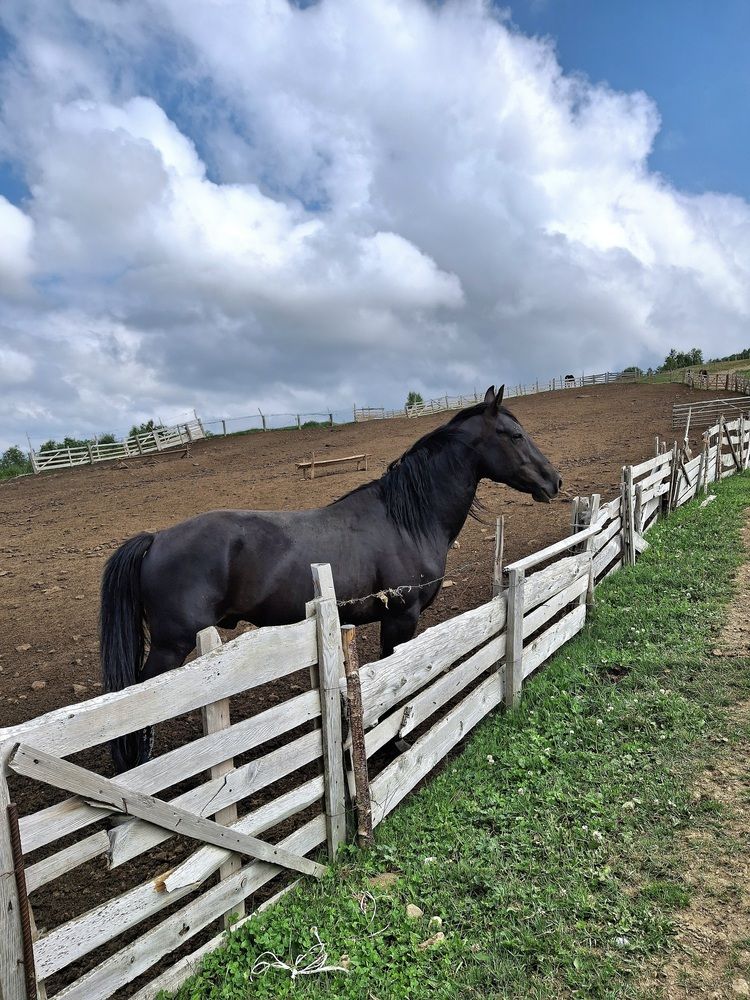 Фотография автора Наталья Гаврилова