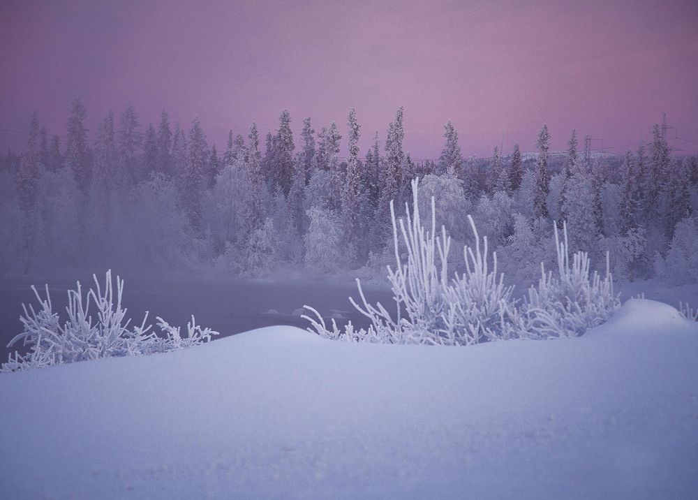 Рисунок зимы