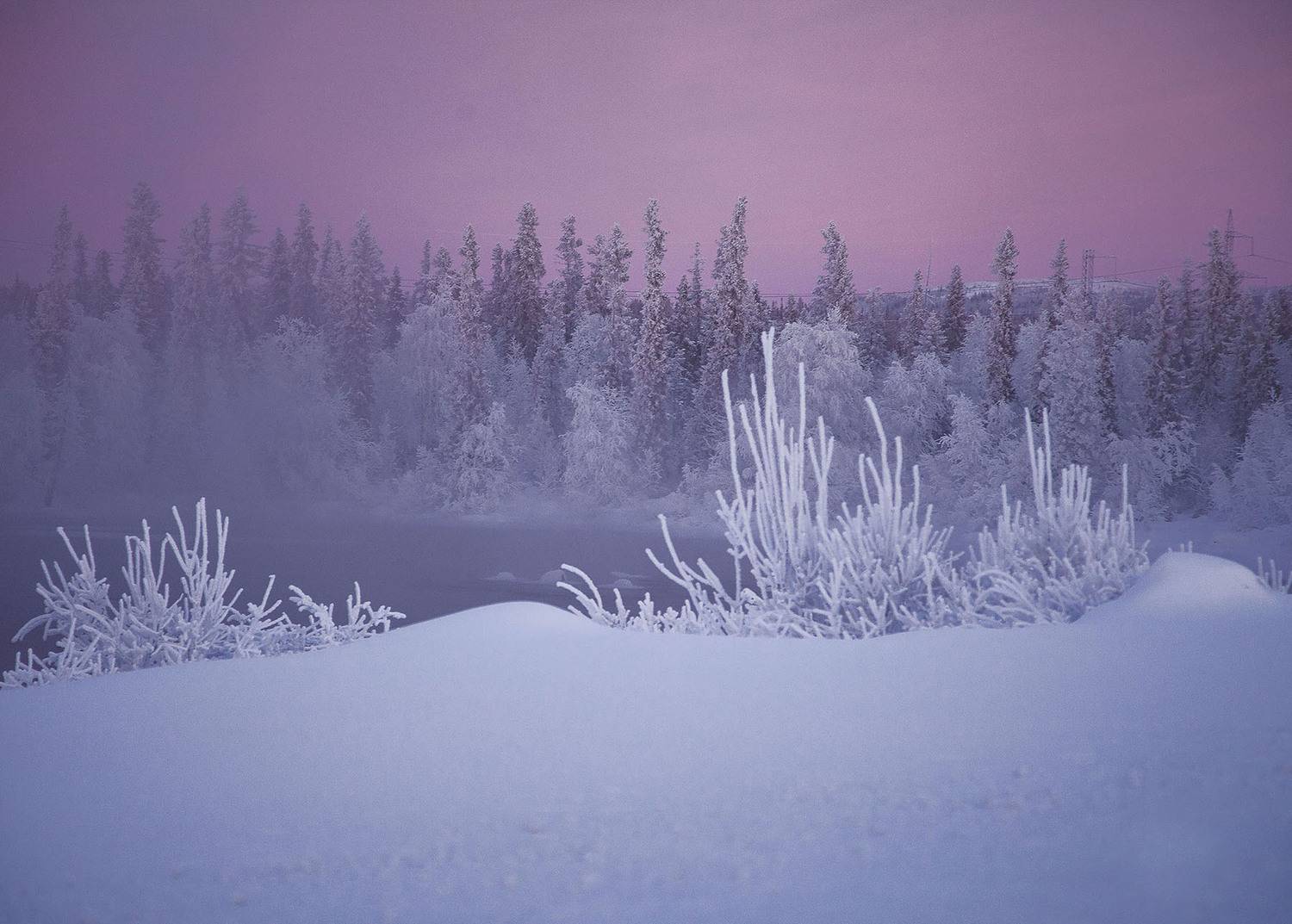 Рисунок зимы