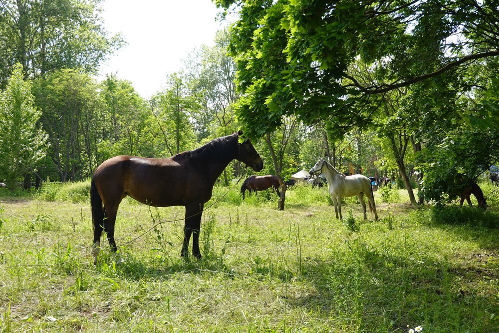 Photograph by Ольга Стоун