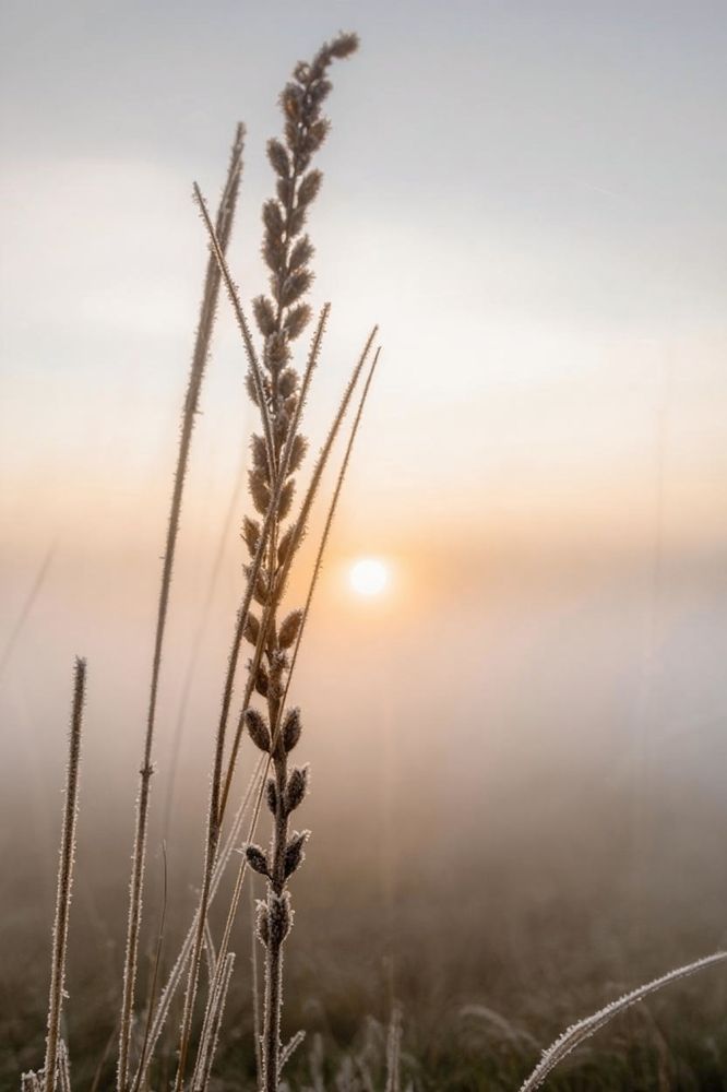 Photograph by Александра Токарева