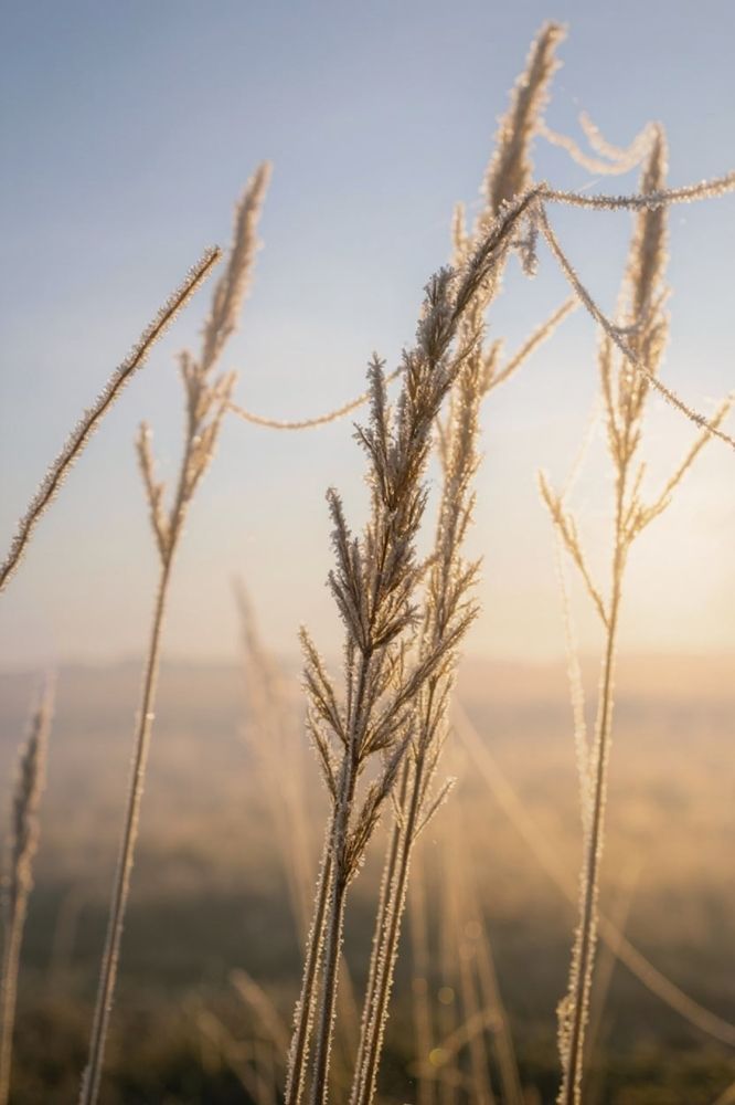 Photograph by Александра Токарева