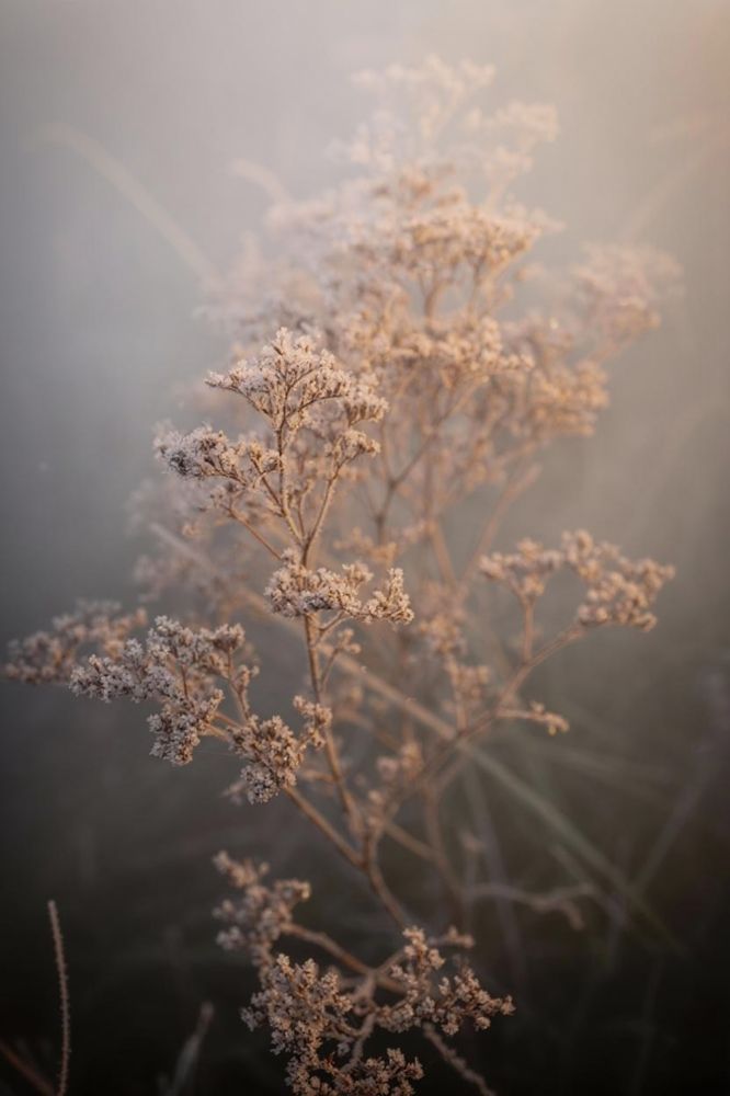 Photograph by Александра Токарева