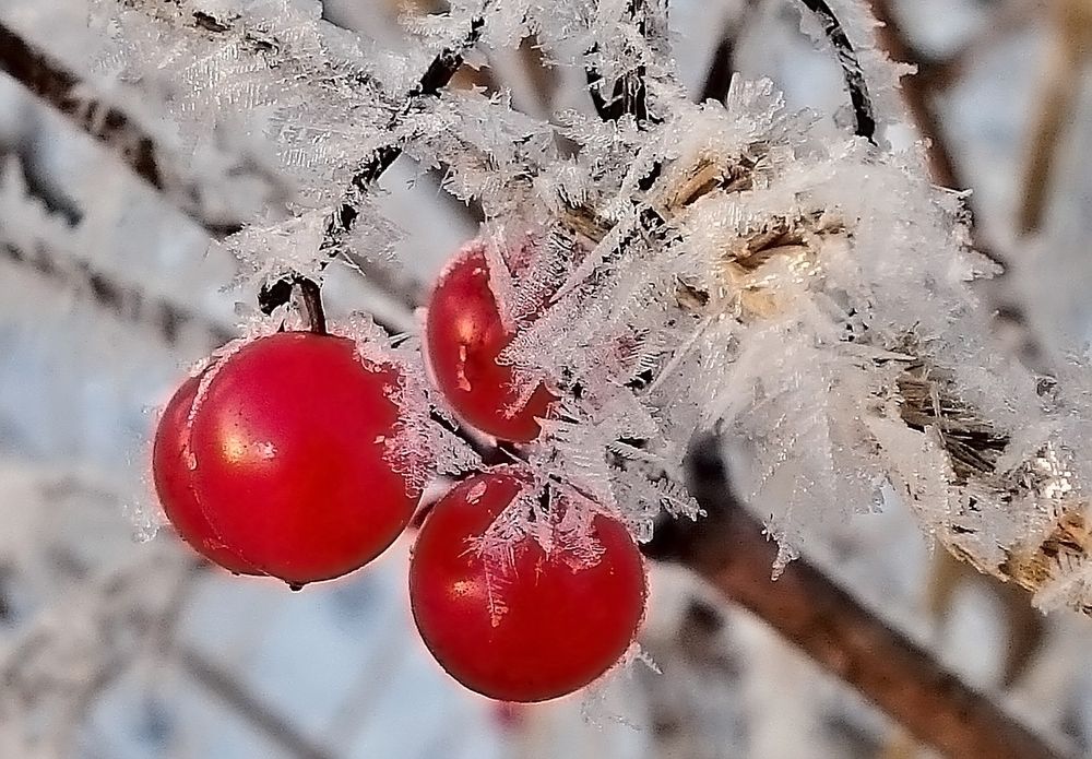 Photograph by Виктор Решетников