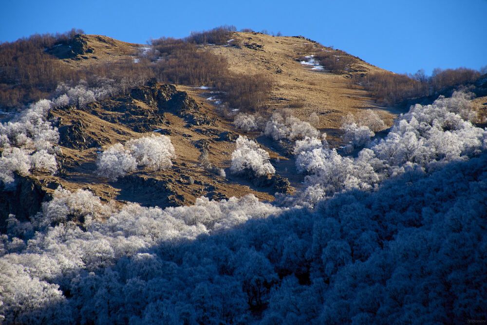 Photograph by Максим Карпович