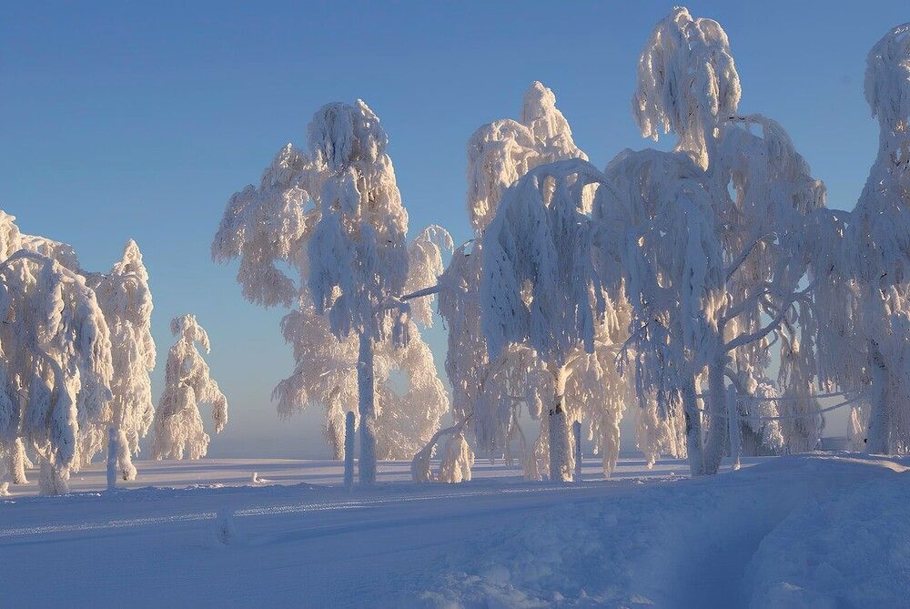 Зима на Белой горе