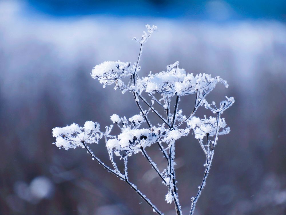 Photograph by Елена Гарипова