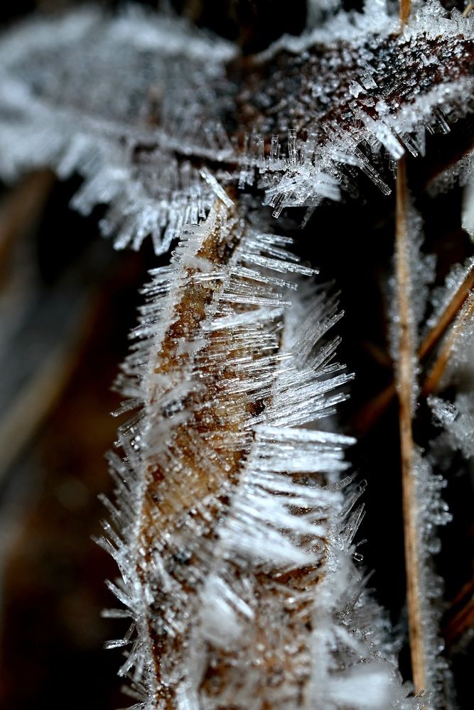 Кристалы льда