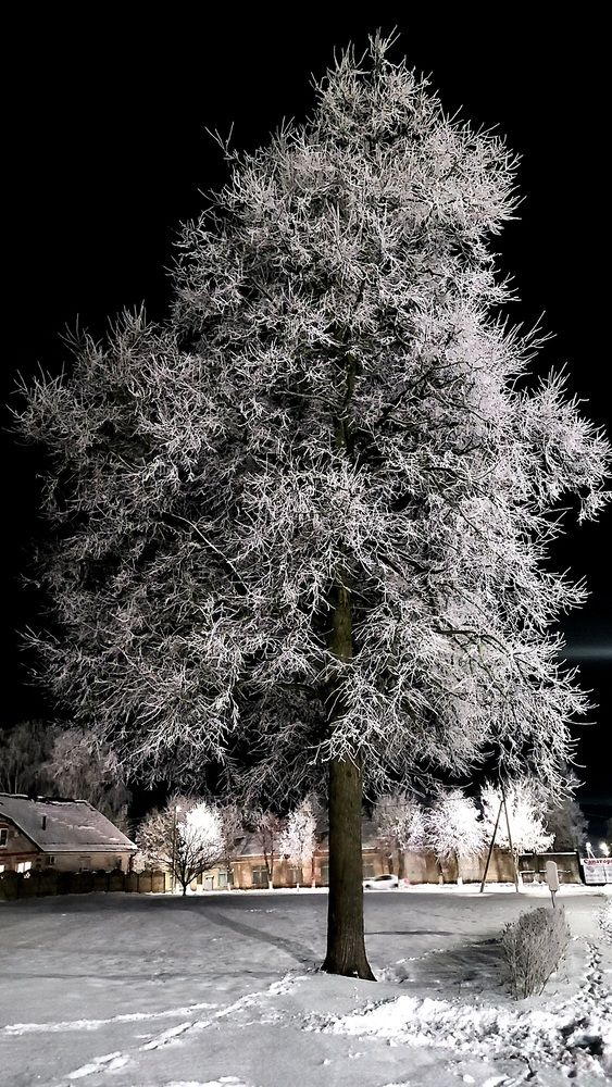 Ночное волшебство