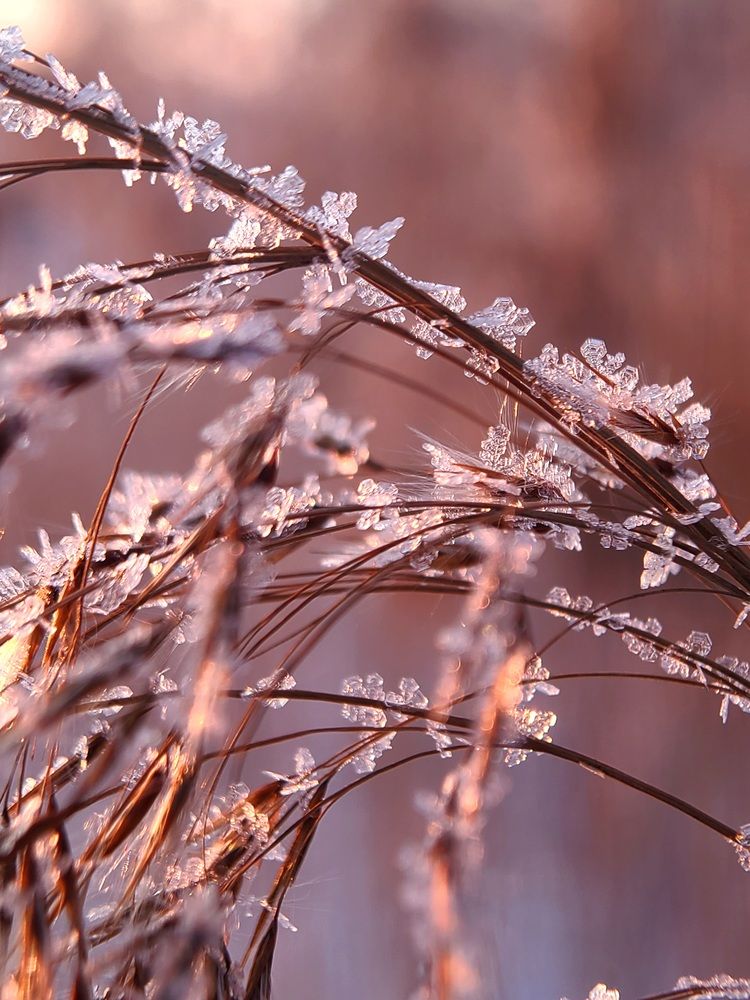 Photograph by Егор Жук