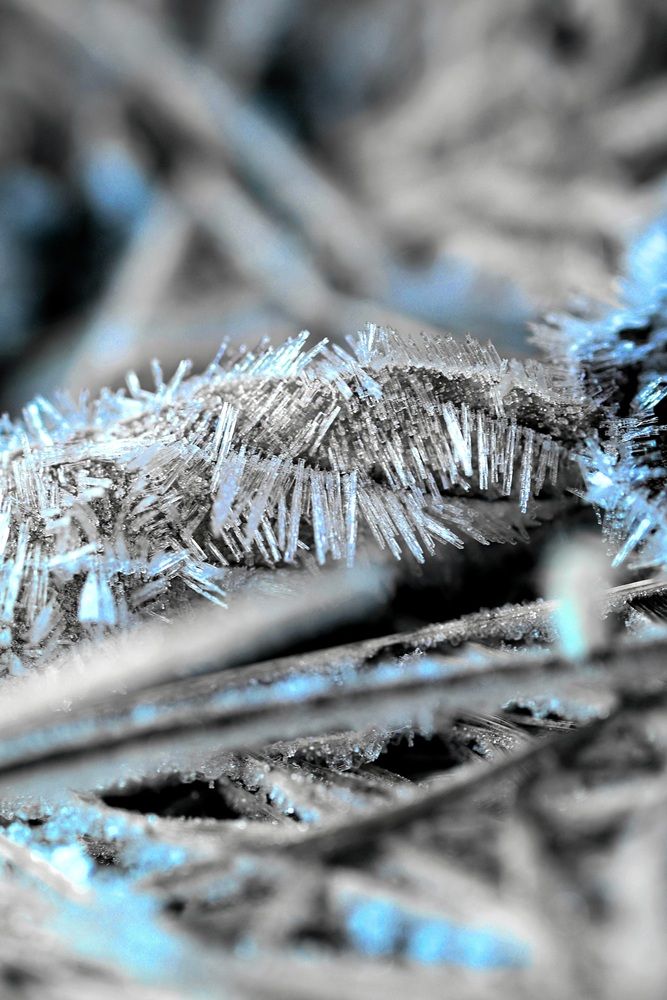 Photograph by Егор Жук