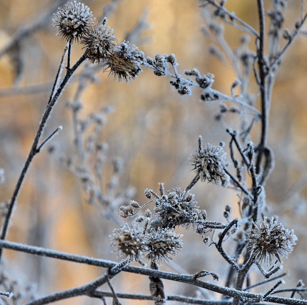 Photograph by Vladimir Bragilevsky