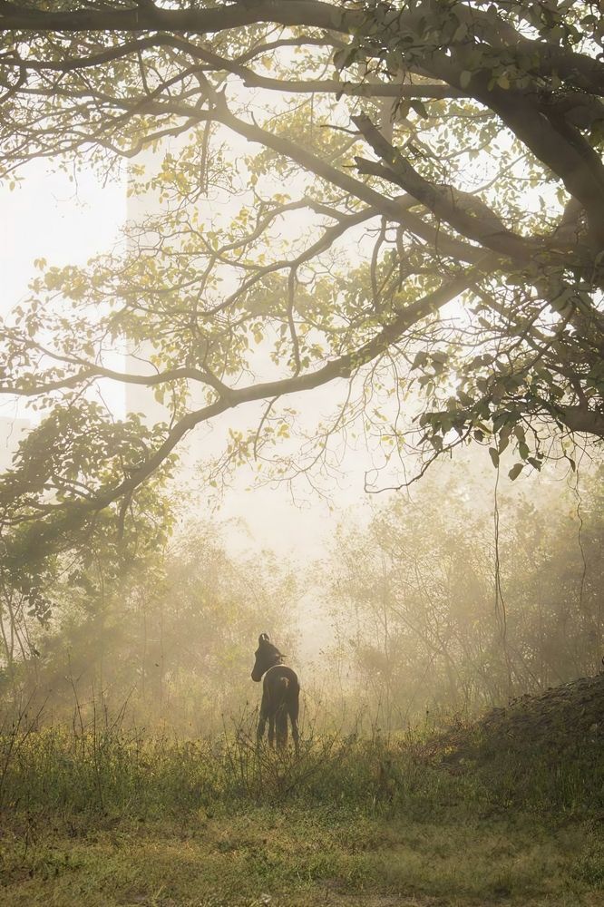 Photograph by Aditya Ghosh