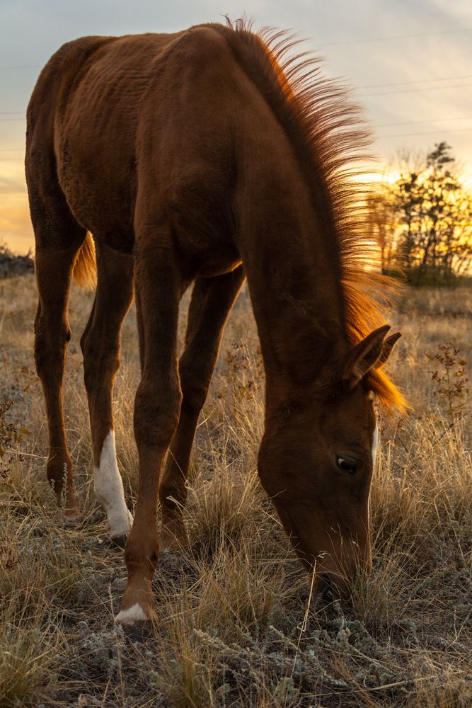 Photograph by Ольга Салтыкова