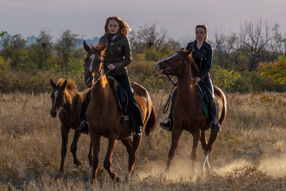 Photograph by Ольга Салтыкова