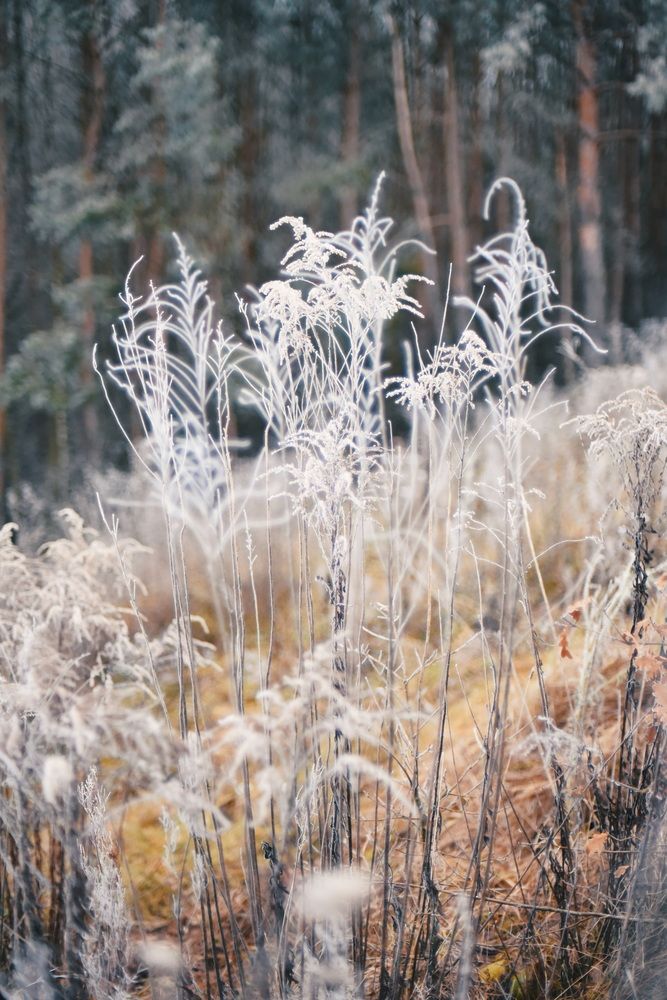 Photograph by Наталья Маслова