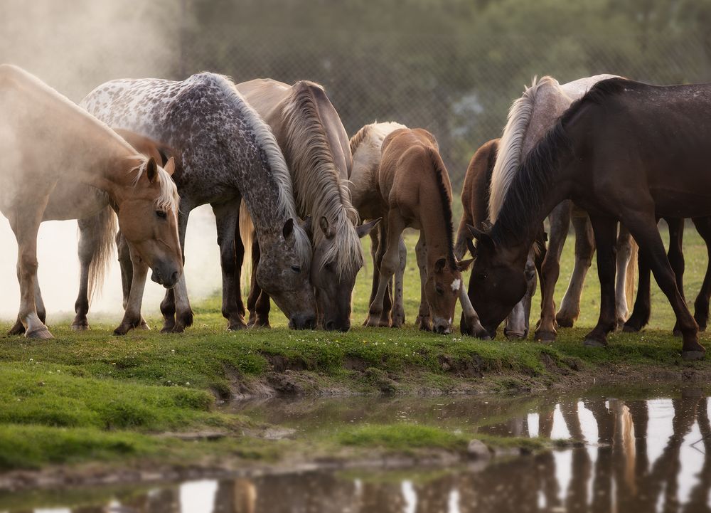 Photograph by Юлия Болдинова