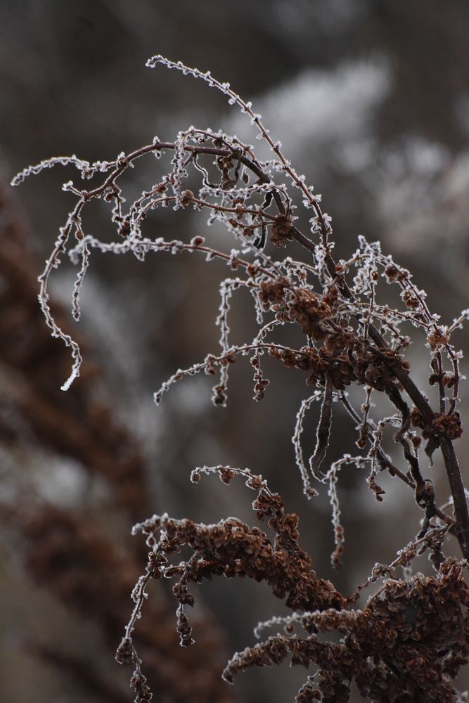 Photograph by Наталья Маслова
